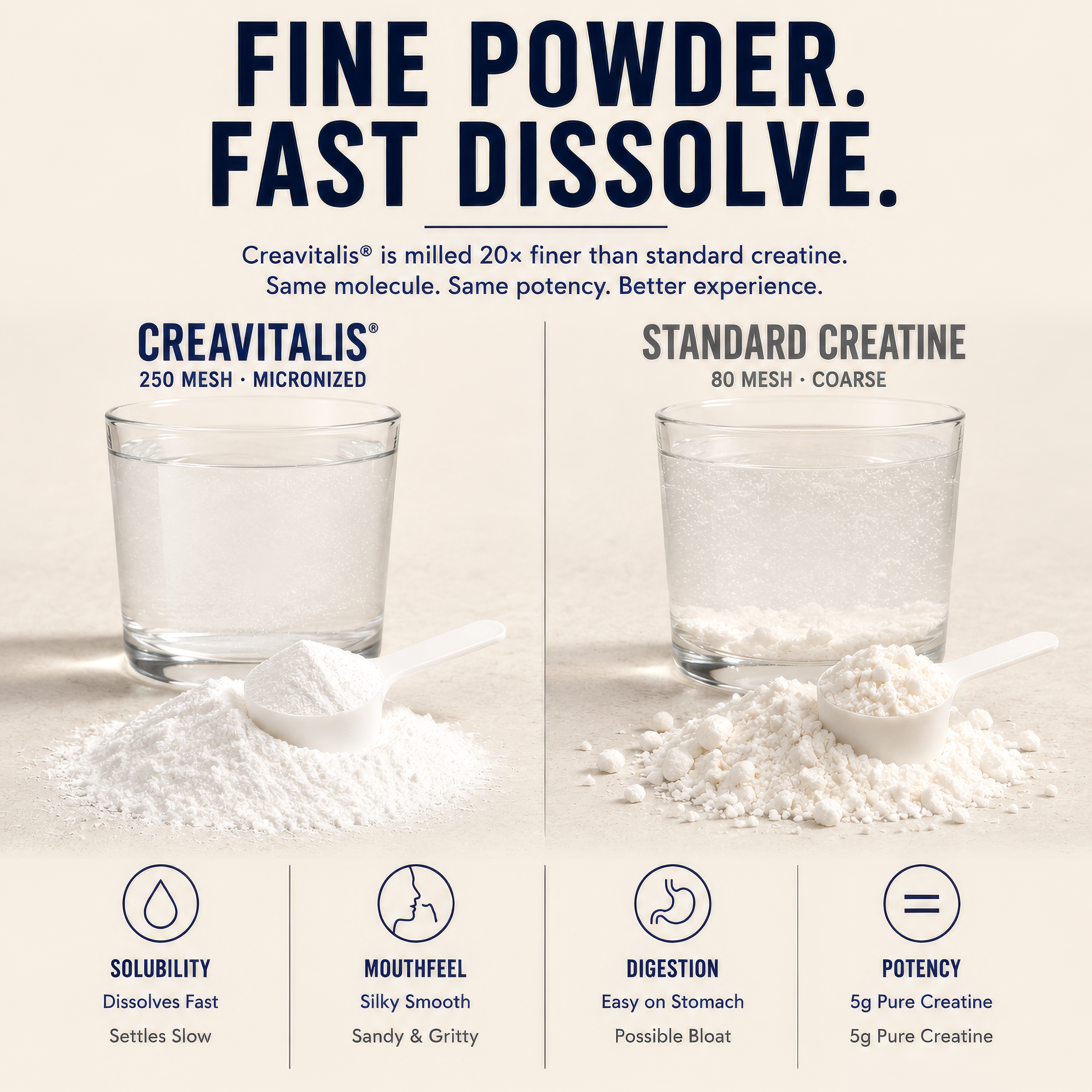 Foundation Creavitalis Micronized Creatine