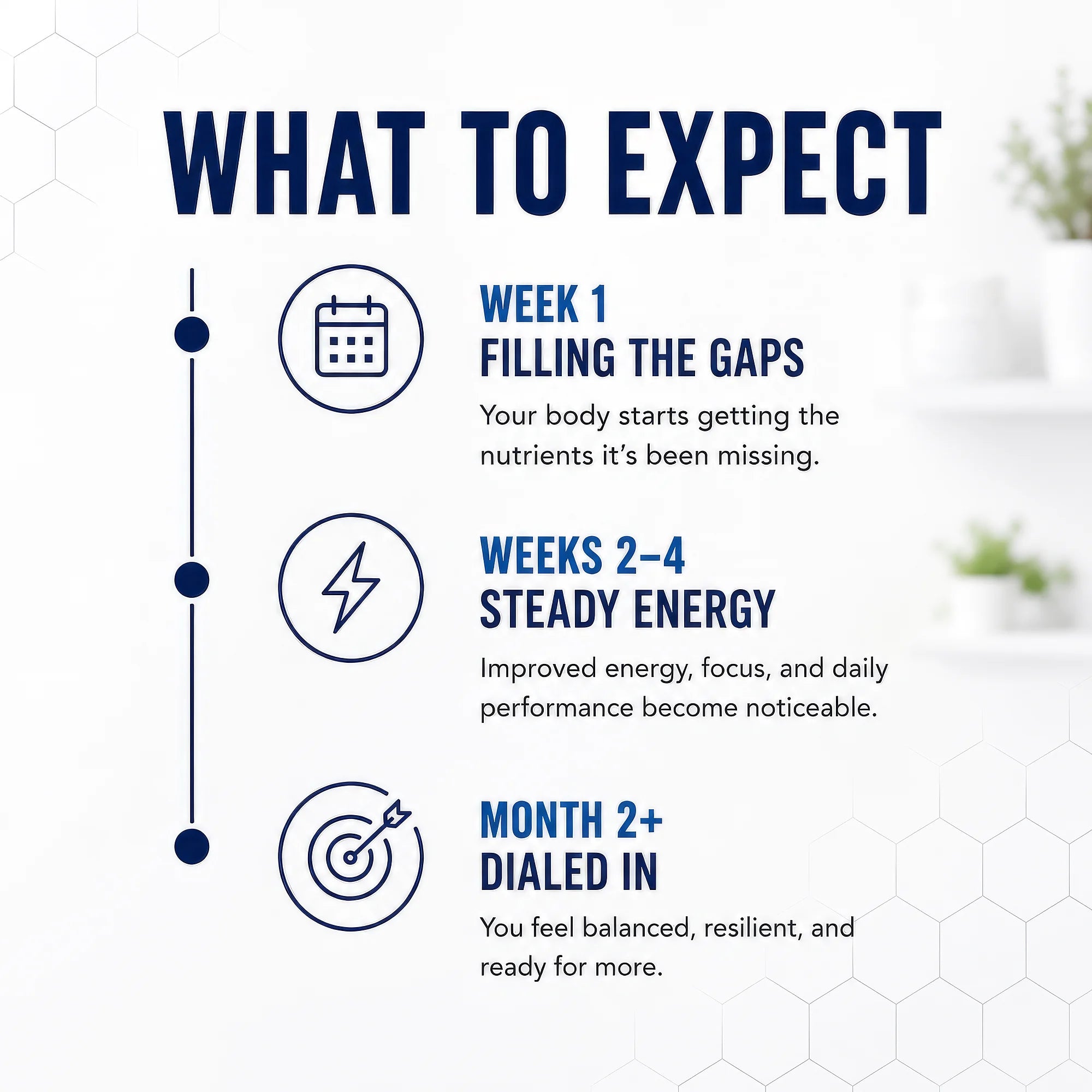 Foundation Daily