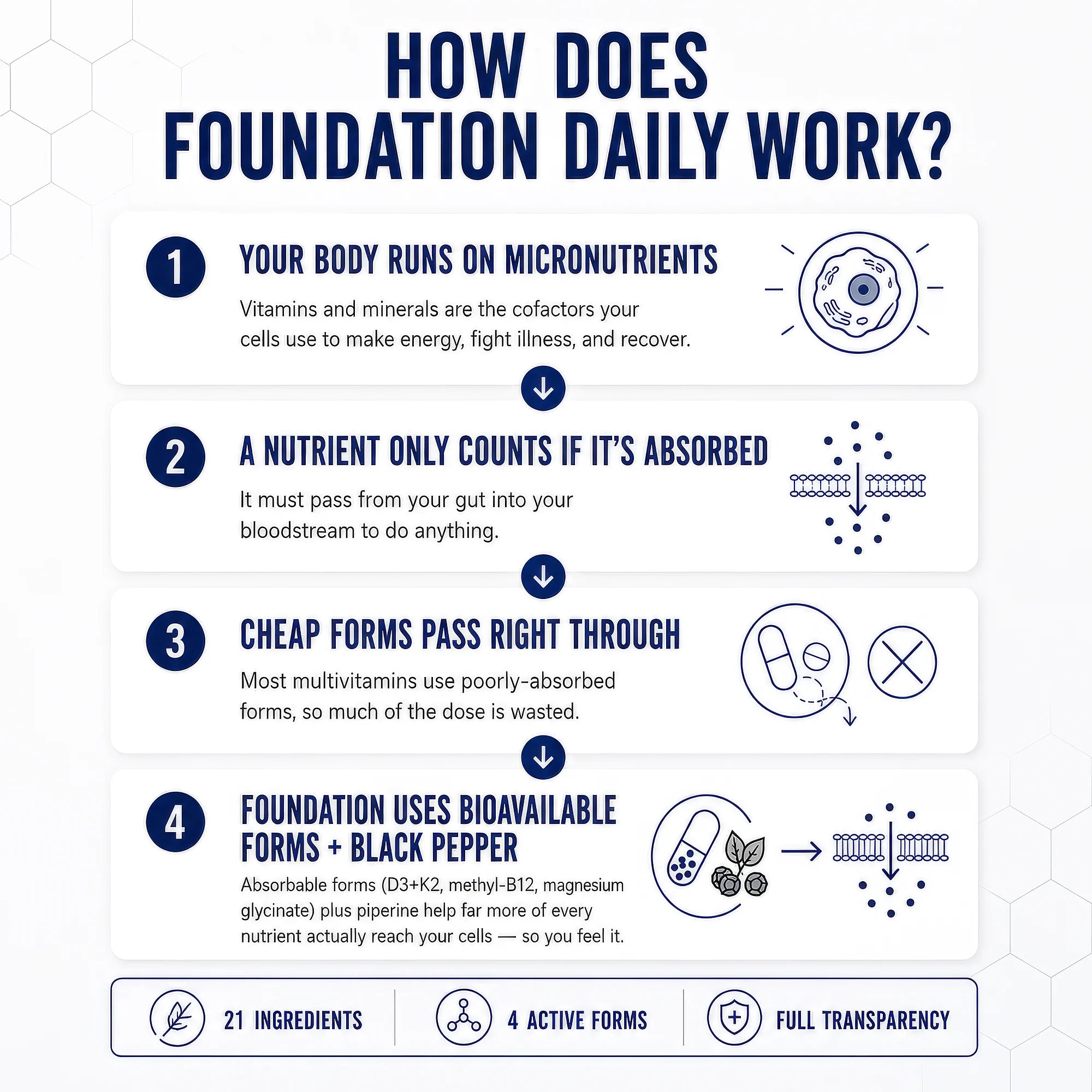 Foundation Daily
